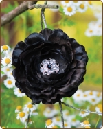 Ruffled Ranunculus Flower Clippie Black