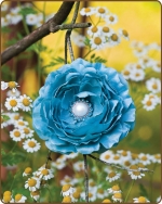 Ruffled Ranunculus Flower Clippie Turquoise
