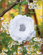 Ruffled Ranunculus Flower Clippie White