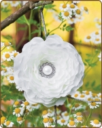 Ruffled Ranunculus Flower Clippie White
