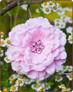 Dahlia Flower Clippie Lt. Pink - 5 inch