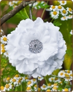 Dahlia Flower Clippie White - 5 inch