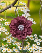 Dahlia Flower Clippie Brown - 3.5 inch