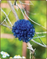 Mesh Flower Clippie - Blue