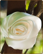 Satin Rose Clippie Cream Large