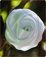Satin Rose Clippie White Large
