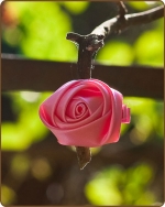 Satin Rose Clippie Peach Mini