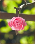 Satin Rose Clippie Pink Mini