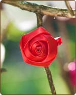 Satin Rose Clippie Red Mini