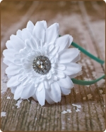 Seafoam Green/White Flower Satin Lined Metal Headband