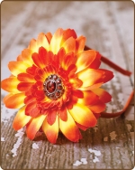 Sunburst Flower Satin Lined Metal Headband