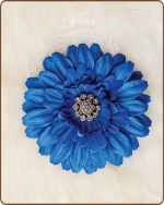 Daisy Flower Clippie Blue