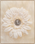 Daisy Flower Clippie Cream