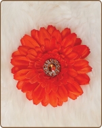 Daisy Flower Clippie Orange