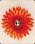 Daisy Flower Clippie Burst of Orange