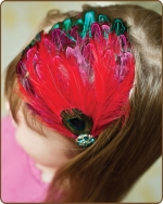 Multi Colored Combination Feather Headband